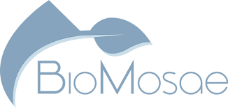 Biomassa Beeks logo